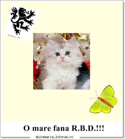 BaNnErE by xdee_x - o fana infocata rbd - Art Zone