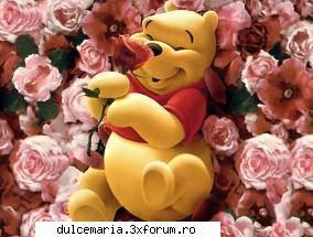 Ce flori va plac? - Pun o poza....chiar daca e cu un - Cafenea