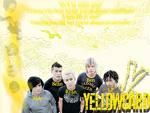 Ceilalti preferati - mie imi pl fff mooolt yellowcard - Cafenea