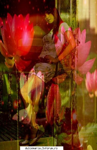 my banners - anahi_dulce - Art Zone