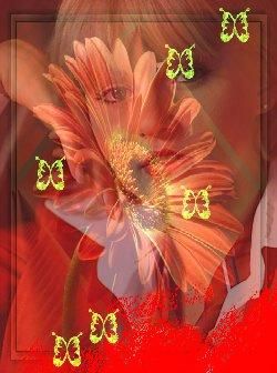 my banners - anahi_dulce - Art Zone